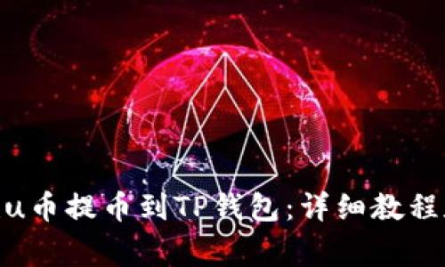 如何将Kishu币提币到TP钱包:详细教程和注意事项