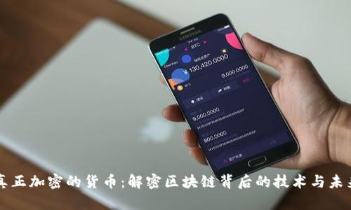 真正加密的货币:解密区块链背后的技术与未来