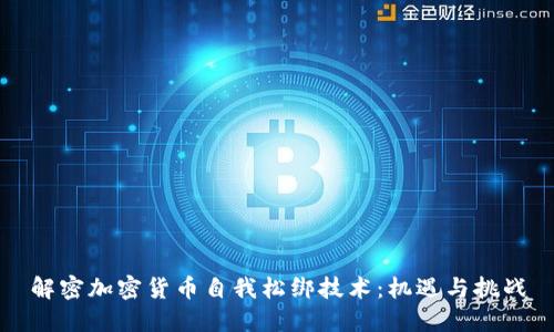 解密加密货币自我松绑技术:机遇与挑战