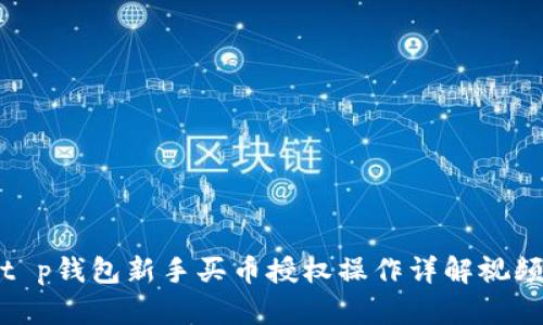 t p钱包新手买币授权操作详解视频