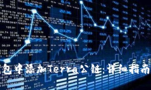 如何在TP钱包中添加Terra公链:详细指南与实用技巧