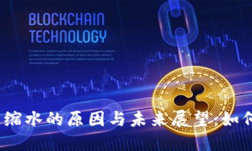 : 加密货币资产缩水的原因与未来展望:如何应对市场波动?