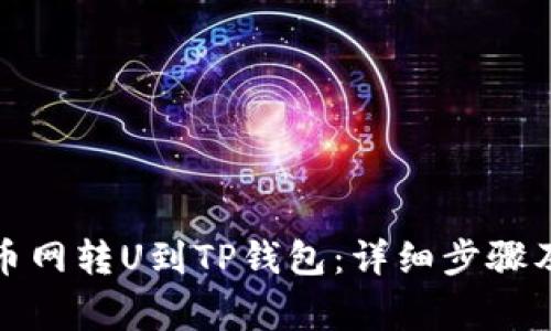 如何从中币网转U到TP钱包:详细步骤及注意事项