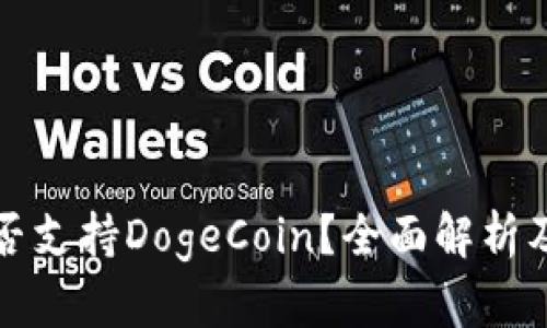 TP钱包是否支持DogeCoin?全面解析及使用指南