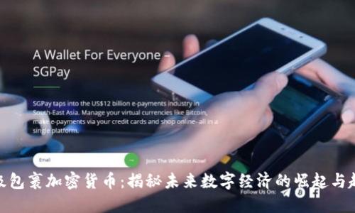 超级包裹加密货币：揭秘未来数字经济的崛起与趋势