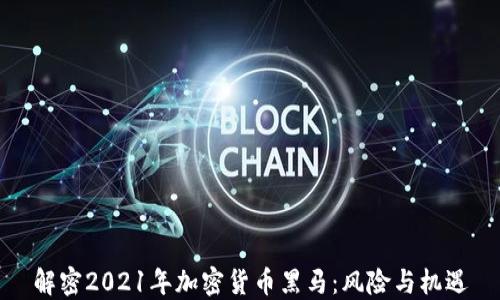 解密2021年加密货币黑马:风险与机遇