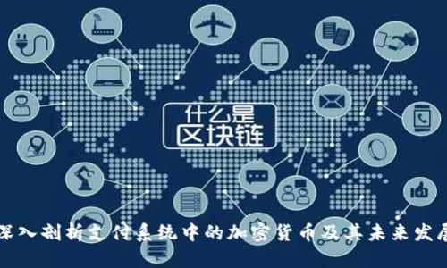 深入剖析支付系统中的加密货币及其未来发展