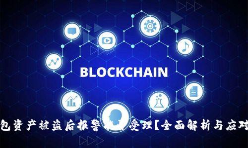 TP钱包资产被盗后报警能否受理?全面解析与应对策略