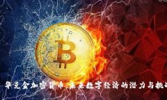 : 华克金加密货币：未来数字经济的潜