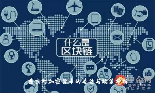 普京对加密货币的看法与政策分析