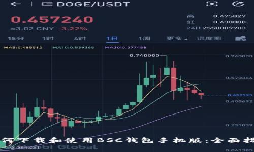 如何下载和使用BSC钱包手机版:全面指南