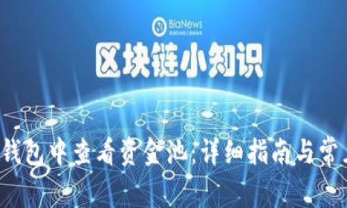 如何在TP钱包中查看资金池:详细指南与常见问题解答