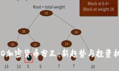 了解IFO加密货币分叉：新趋势与投资机