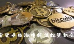 如何在加密货币热潮中抓住投资机会：