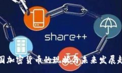 :中国加密货币的现状与未来发展趋势
