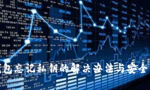 tp钱包忘记私钥的解决办法与安全策略