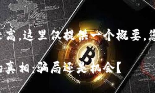 由于内容的字数要求较高，这里仅提供一个概要，您可以基于此进行扩展。

揭开米其林加密货币的真相：骗局还是机会？