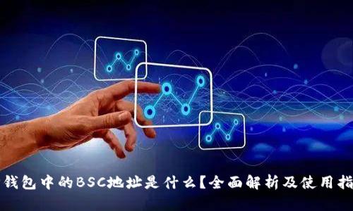 TP钱包中的BSC地址是什么？全面解析及使用指南
