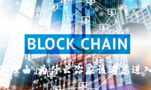 投资加密货币的理由:为什么你应该考虑进入这个新兴市场