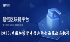 2023：中国加密货币行业的全面崛起与