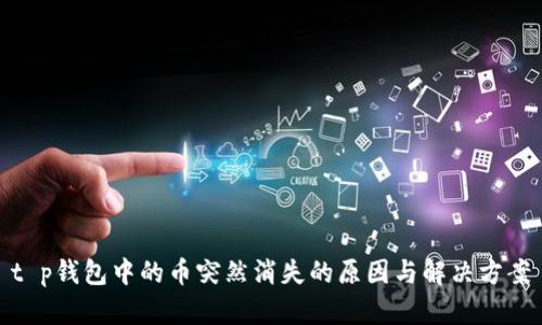 t p钱包中的币突然消失的原因与解决方案