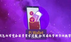  tP钱包的带宽和能量需求详解：如何有