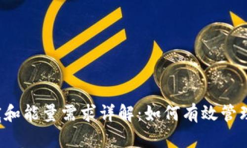 tP钱包的带宽和能量需求详解:如何有效管理你的数字资产