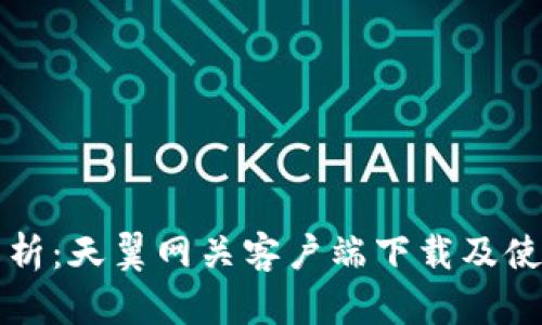 全面解析:天翼网关客户端下载及使用指南