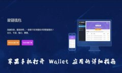 苹果手机打开 Wallet 应用的详细指南