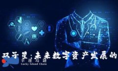 加密货币双子星：未来数字资产发展的