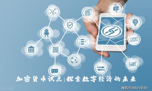 加密货币试点:探索数字经济的未来