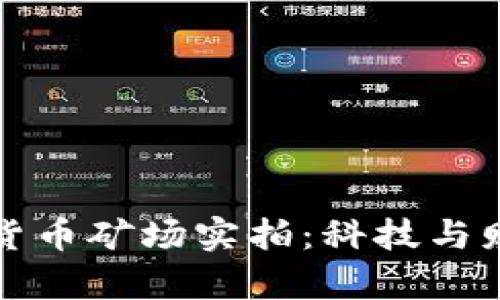 揭秘加密货币矿场实拍:科技与财富的交织