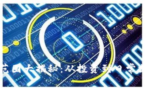加密货币应用范围大揭秘:从投资到日常支付的全面解析