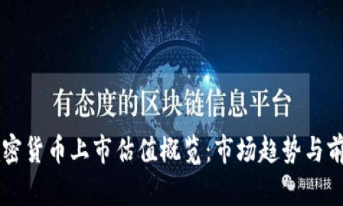 美国加密货币上市估值概览:市场趋势与前景分析