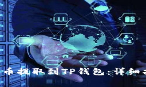 如何将Newton币提取到TP钱包:详细指南与步骤解析