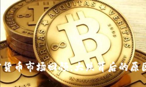 2023年加密货币市场回顾:大跌背后的原因与未来展望