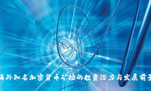 海外知名加密货币矿场的投资潜力与发展前景