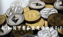 全面解析：如何下载和使用中文版Go