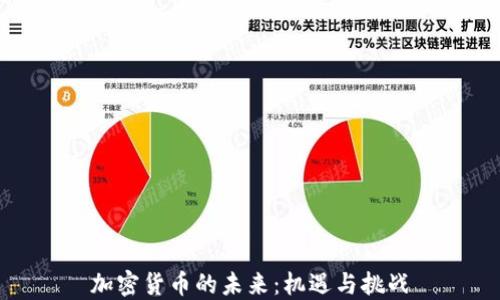 加密货币的未来:机遇与挑战