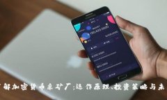 深入了解加密货币采矿厂：运作原理、