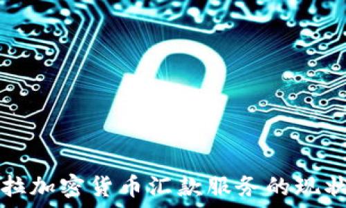 委内瑞拉加密货币汇款服务的现状与未来
