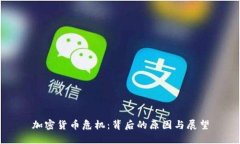 加密货币危机：背后的原因与展望