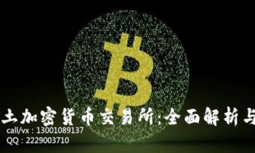 新加坡本土加密货币交易所:全面解析与未来展望