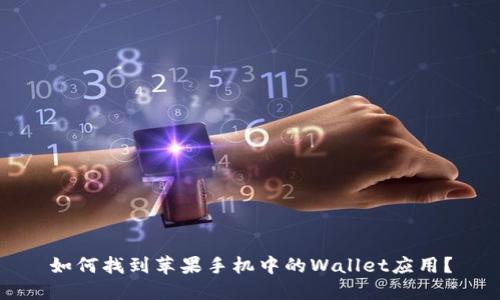 如何找到苹果手机中的Wallet应用？