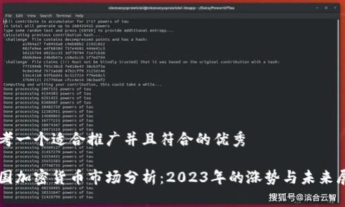 思考一个适合推广并且符合的优秀
美国加密货币市场分析:2023年的涨势与未来展望