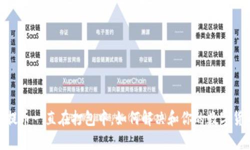 tp钱包提币一直在打包中,如何解决和你的数字货币体验