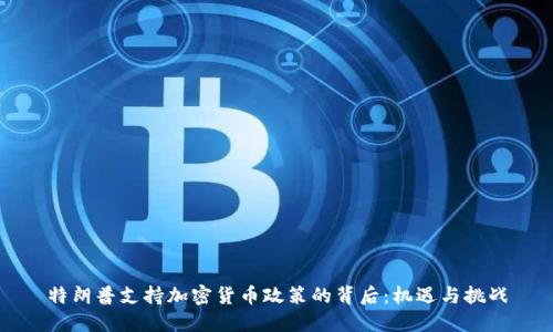 特朗普支持加密货币政策的背后：机遇与挑战