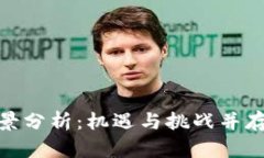 加密货币未来前景分析：机遇与挑战并