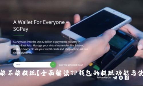 TP钱包能不能提现?全面解读TP钱包的提现功能与使用技巧