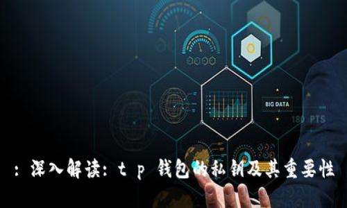 : 深入解读: t p 钱包的私钥及其重要性